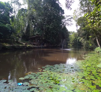 Hutan Wisata Mata Kucing