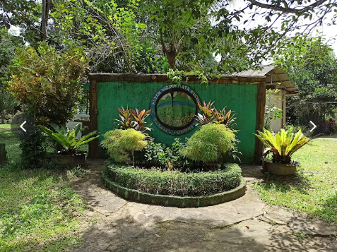 Hutan Wisata Mata Kucing