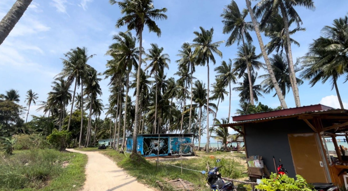Nemo Beach