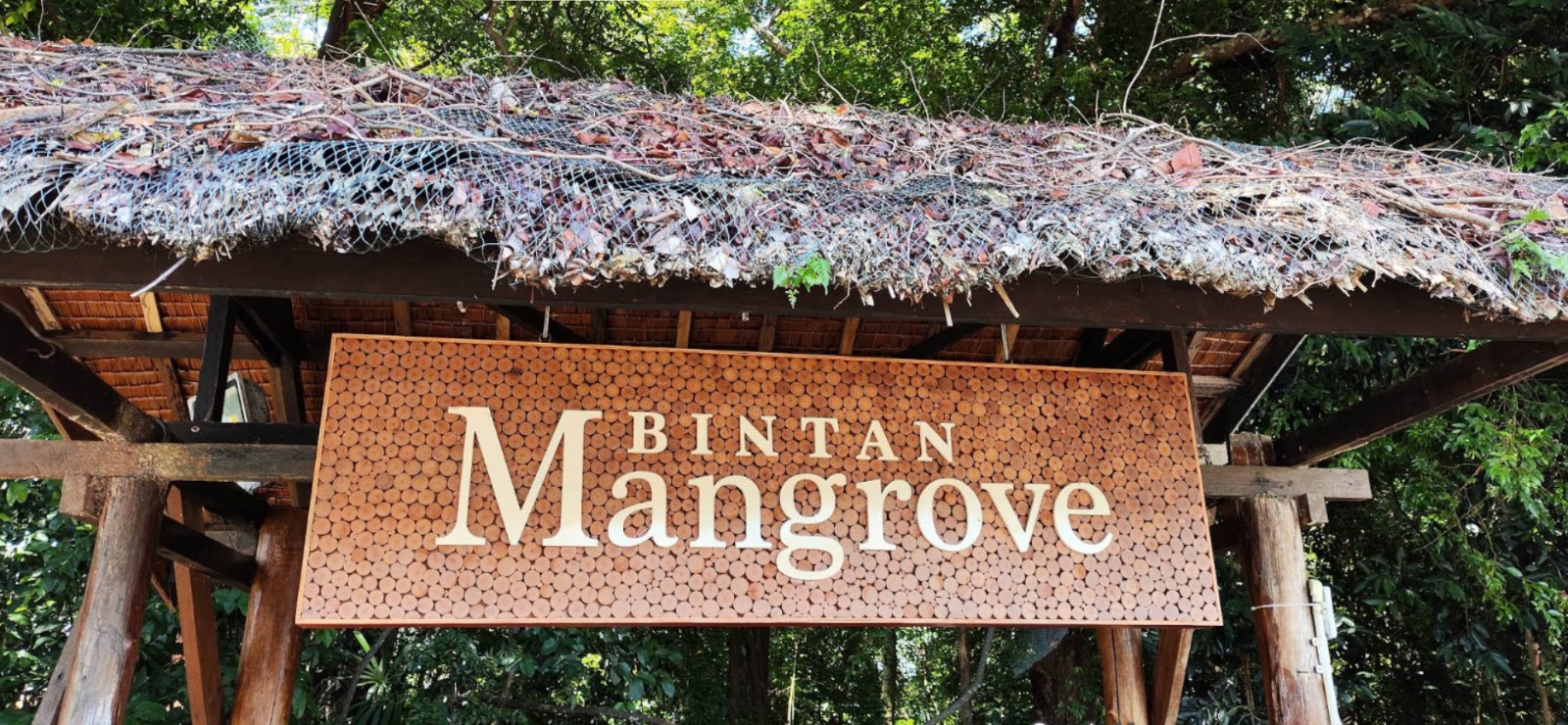Wisata Bakau dan Kunang-kunang